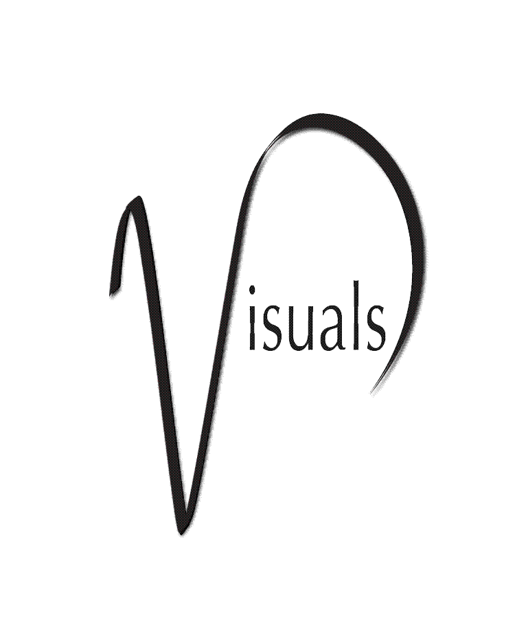 Visuals logo